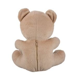 Xtreme Life 4K Teddy Bear DVR