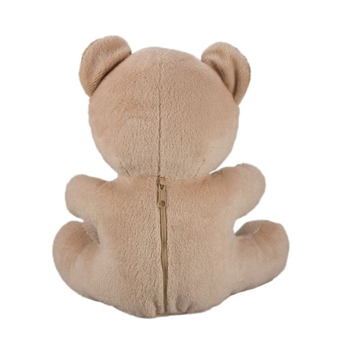 Xtreme Life 4K Teddy Bear DVR