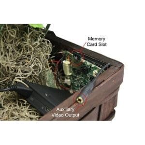 Alternative view of Xtreme Life 4K Plant Camera DVR