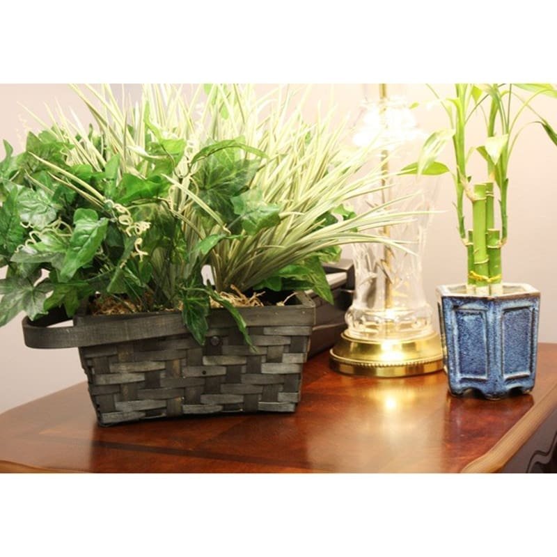 Xtreme Life 4K Plant Camera DVR - Image 3