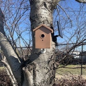 Alternative view of SG Xtreme Life Bird House