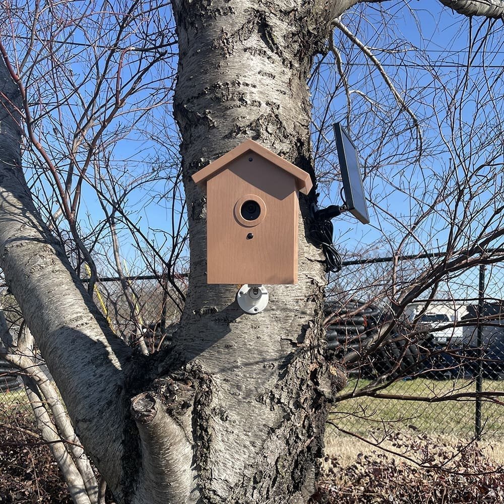 SG Xtreme Life Bird House - Image 2