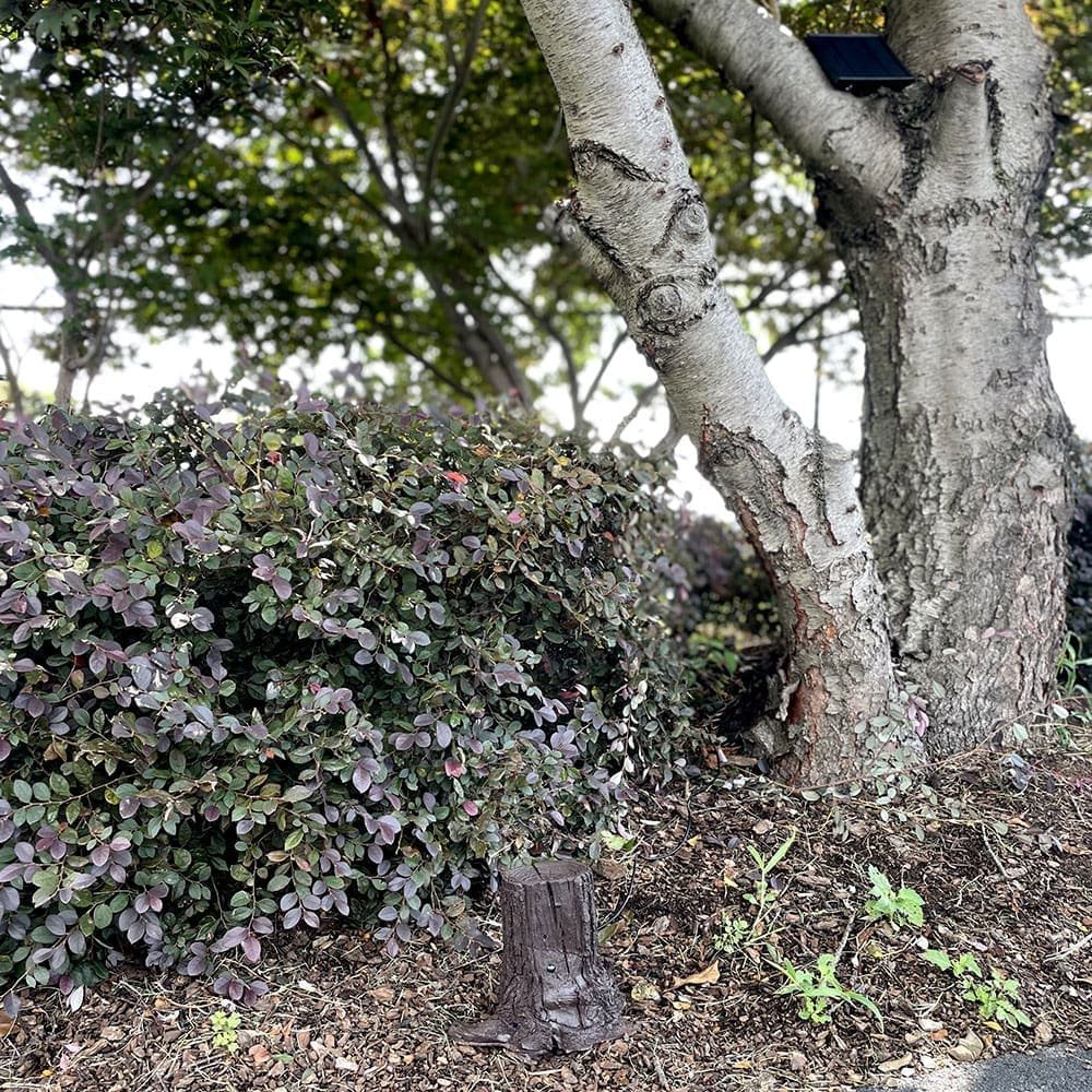 SG Xtreme Life Solar Landscape Tree Stump 2