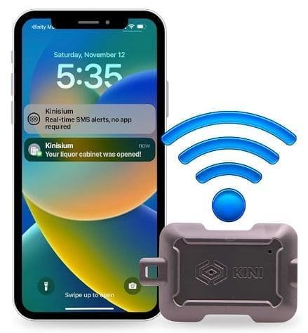 Wireless Motion Sensor